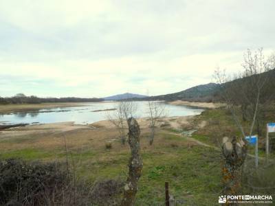 Río Manzanares - Puentes Medievales y Camino de Santiago madrileño:bosque encantado asturias parque 